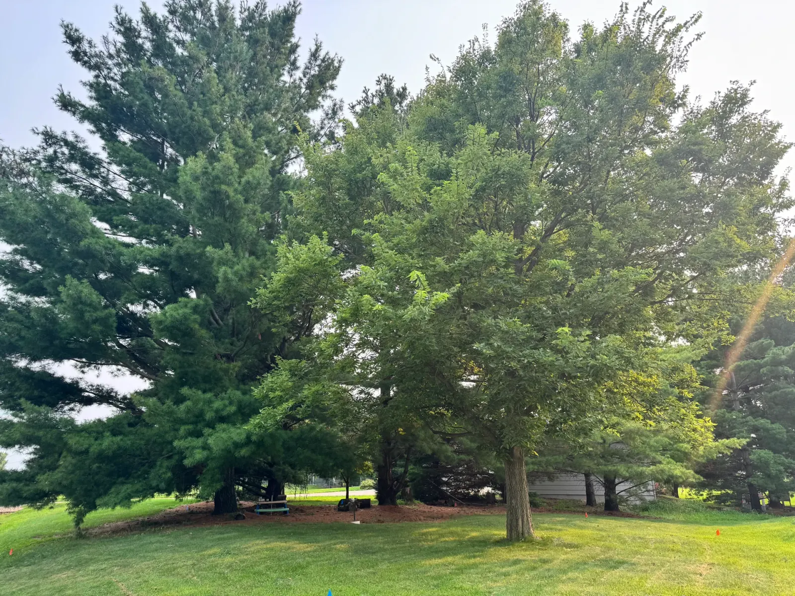 10908 NW 107th Street, Granger, Iowa - Mature Shade Trees