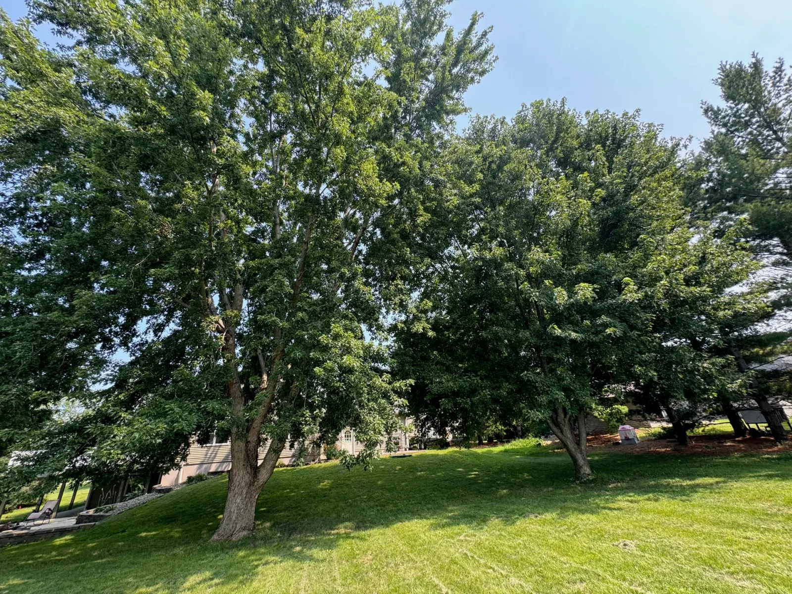 10908 NW 107th Street, Granger, Iowa - Shade Trees Over Lawn