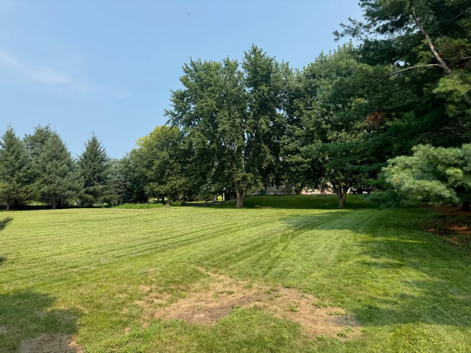 10908 NW 107th Street, Granger, Iowa - Wide Lawn And Tree Line